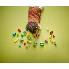 LEGO DUPLO Giardino e Fiori Creativi 10444 con Animali e Numeri - Costruzioni in plastica