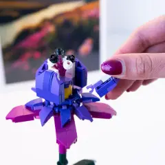 Set Costruzioni Flower Mattoncini Fiore Fucsia - tematiche