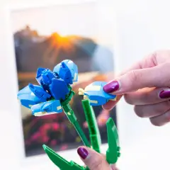 Set Costruzioni Flower Mattoncini Fiore Iris - tematiche