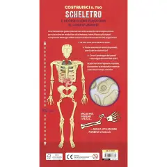 Libro Costruisci Il Tuo Scheletro Con Modellino Da Costruire - Prima biblioteca