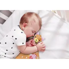 Il Libro Che Fa La Nanna - Volpe - Prima biblioteca