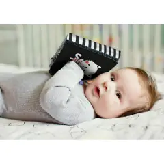 Libro Animali Morbidi - Orsetto - Prima biblioteca