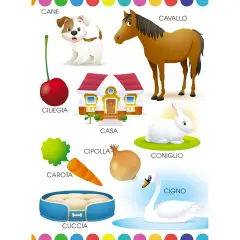 Libro Il Mio Alfabeto Disney - Prima biblioteca