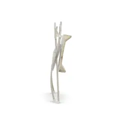 Bagnetto Fasciatoio Lindo Pieghevole Sabbia - bagnetti fasciatoio