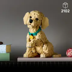 Lego Icons Cucciolo di Golden Retriever 11384 - lego