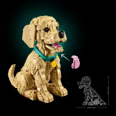 Lego Icons Cucciolo di Golden Retriever 11384 - lego