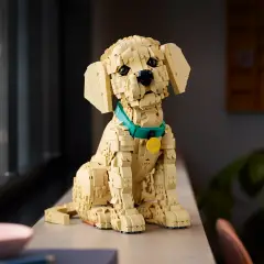 Lego Icons Cucciolo di Golden Retriever 11384 - lego
