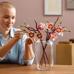 LEGO Botanicals 11510 Rametti di Magnolia - lego