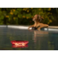 Dosatore Per Cloro Solarglow Con Led 4 Colori - accessori