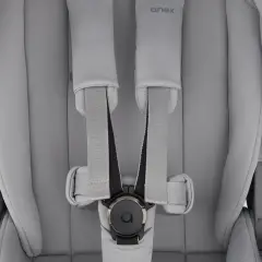 Anex Flo Navicella E Passeggino Multifunzionale Set 2in1 Frossy - trio e modulari