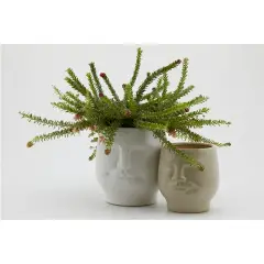 Vaso Decorativo Testa In Gres Bianco - regalo e gadget valigeria