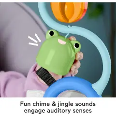 Fisher Price Gioco Sensoriale Per Seggiolone - Primi giochi