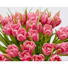 Fiori Decorativi Tulipano 4 Steli Malva - regalo e gadget valigeria