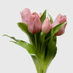 Fiori Decorativi Bouquet Tulipano Olis H28 - regalo e gadget valigeria