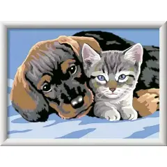 Creart Serie D: Amicizia Speciale - creatività