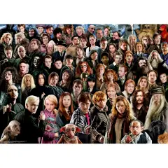 Puzzle 1000 Pezzi Harry Potter Challenge - Puzzle in cartone