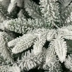 Albero di Natale Slim Innevato Fitz Roy, 422 Rami in 100% PE Real Touch , Altezza 210 cm - alberi