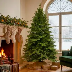 Albero di Natale Selira 100% PE Ultra-Realistico, 1004 Rami a 5 e 7 Punte, Altezza 210 cm - alberi