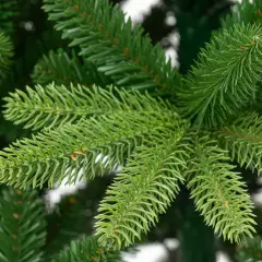 Albero di Natale Selira 100% PE Ultra-Realistico, 1004 Rami a 5 e 7 Punte, Altezza 210 cm - alberi