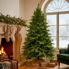 Albero di Natale Selira 100% PE Ultra-Realistico, 1004 Rami a 5 e 7 Punte, Altezza 210 cm - alberi