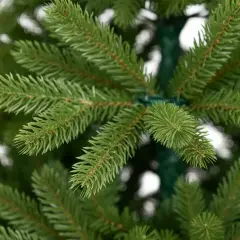 Albero di Natale Whisper 100% PE Ultra-Realistico, 1285 Rami a 5 Punte, Altezza 210 cm - alberi