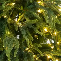 Albero di Natale Luminoso Heritage Ultra-Realistico, 850 Rami, 450 Led, Altezza 210 cm - alberi
