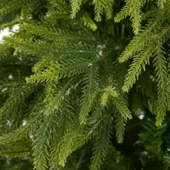Albero di Natale Heritage Ultra-Realistico, 1050 Rami, Altezza 240 cm - alberi