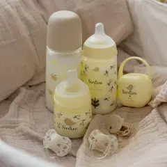 Birdies Succhietto Con Tettina In Silicone 6/18m Neutro 2 Pezzi Suavinex - ciucci