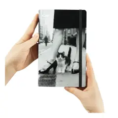 Kaos Agenda Giornaliera 16 Mesi 13x21 Cm Gatto - agende