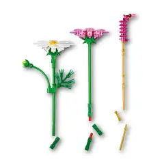 Lego Botanicals Fiori di Cosmos 11514 - lego