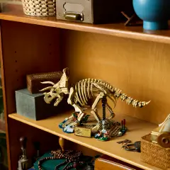 Lego Jurassic World Fossili di Dinosauro: Triceratopo 77985 - lego