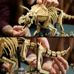 Lego Jurassic World Fossili di Dinosauro: Triceratopo 77985 - lego