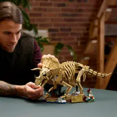 Lego Jurassic World Fossili di Dinosauro: Triceratopo 77985 - lego