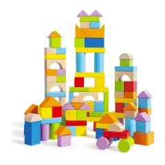 Blocchi Di Costruzione In Legno 101 Pezzi - Primi giochi
