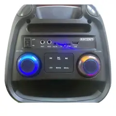 Cassa Con Microfono Wireless E Luci 270x410x270 Mm - Sistemi audio