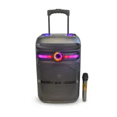 Cassa Con Microfono Wireless E Luci 340x313x548 Mm - Sistemi audio