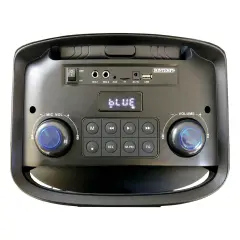 Cassa Con Microfono Wireless E Luci 340x313x548 Mm - Sistemi audio