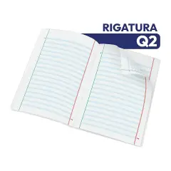 Quaderno Maxi Pigna Monocromo DSA - Rigatura Q2 Quadretto 5 mm - Cancelleria varia