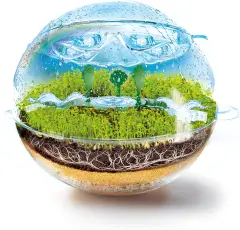 Scienza & Gioco Ecosfera - giochi scientifici