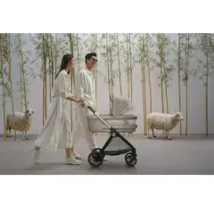 Chicco Navicella Flexi Como Lake Ed. Limitata - trio e modulari