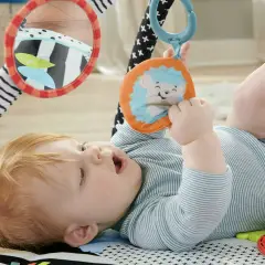 Fisher Price Palestrina Luci E Suoni Degli Amici Animali - Primi giochi