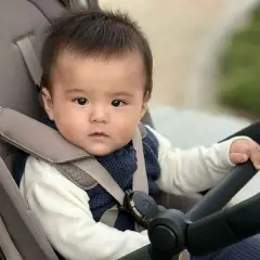 Anex Modu Passeggino Rooty - passeggini compatti