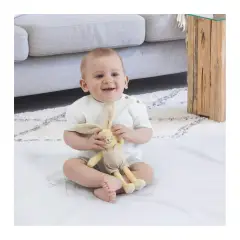 Chicco Peluche Neonato Morbido Velour Coniglietto - Primi giochi
