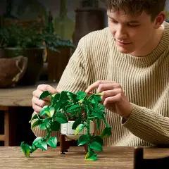 LEGO Botanicals Potos 11512 - 372 Pezzi - lego
