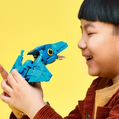 LEGO Dinosauro bebè: Pteranodonte 77977 - 373 Pezzi - lego