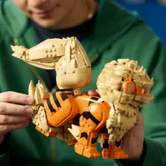 LEGO Pokémon Arcanine 72160 - 1190 Pezzi - lego