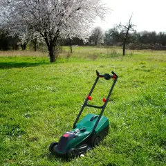 Rasaerba Elettrico Giocattolo Bosch Rotak Con Suoni E Luci - Giardinaggio