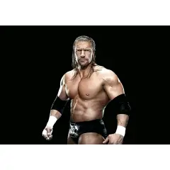 Playmobil 71963 WWE Triple H con Accessori Rimovibili e Supporto - playmobil