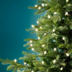 Luci di Natale LED Vintage 11,9 m 8 Funzioni Bianco Caldo - scene e villaggi