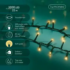 Luci di Natale LED Compatte 1000 LED 22 m Lampeggianti - luci